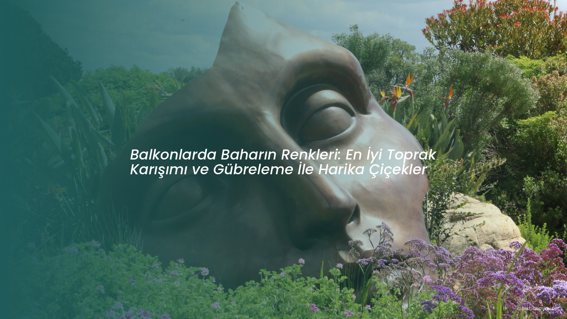 Balkonlarda Baharın Renkleri: En İyi Toprak Karışımı ve Gübreleme İle Harika Çiçekler