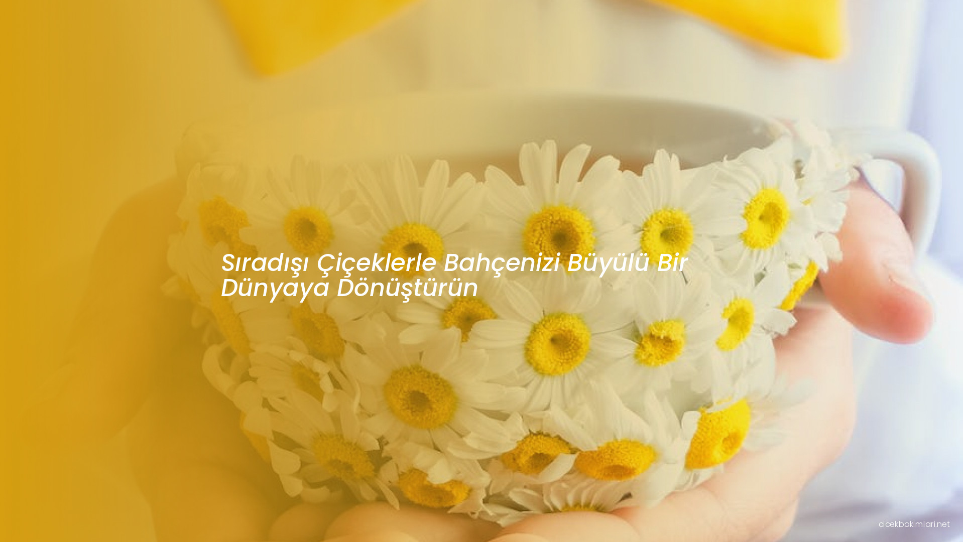 Sıradışı Çiçeklerle Bahçenizi Büyülü Bir Dünyaya Dönüştürün