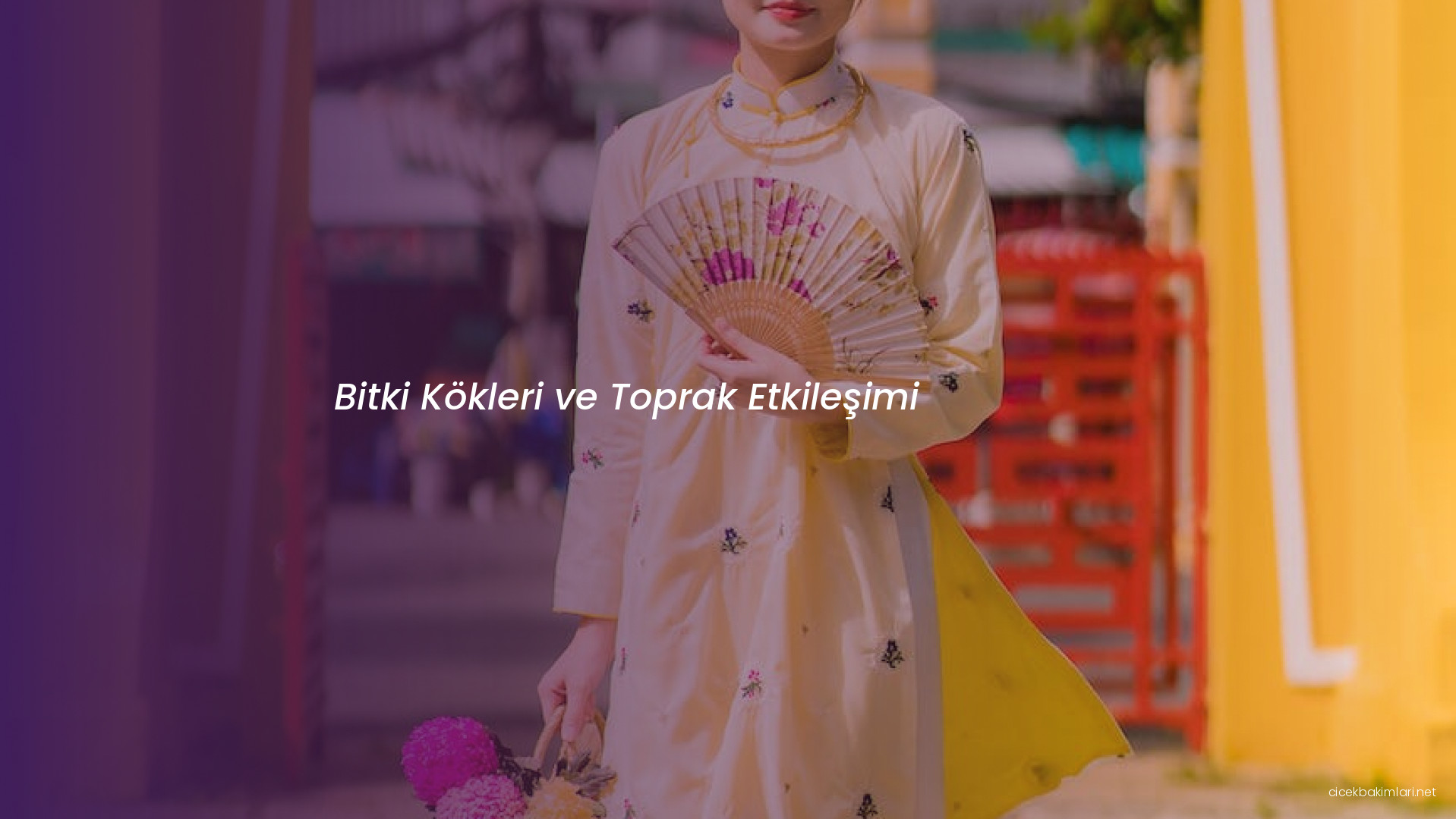 Bitki Kökleri ve Toprak Etkileşimi