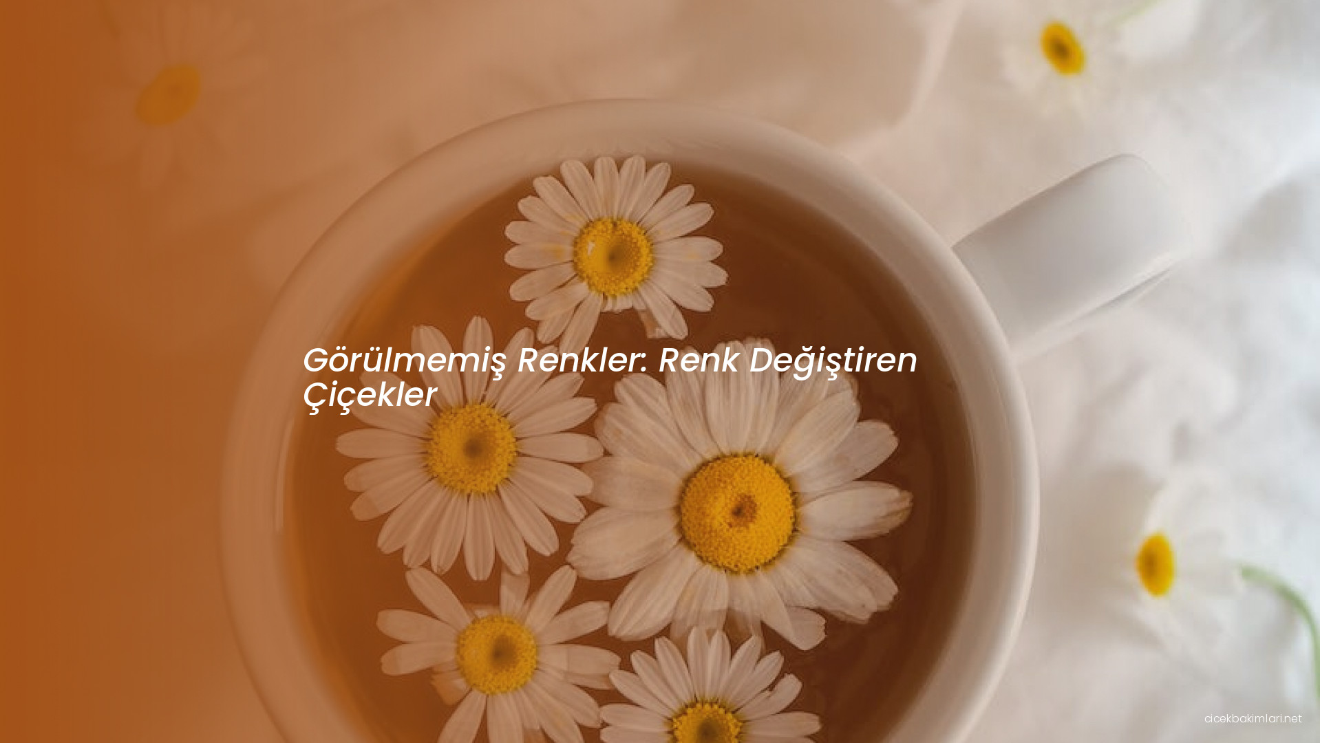 Görülmemiş Renkler: Renk Değiştiren Çiçekler