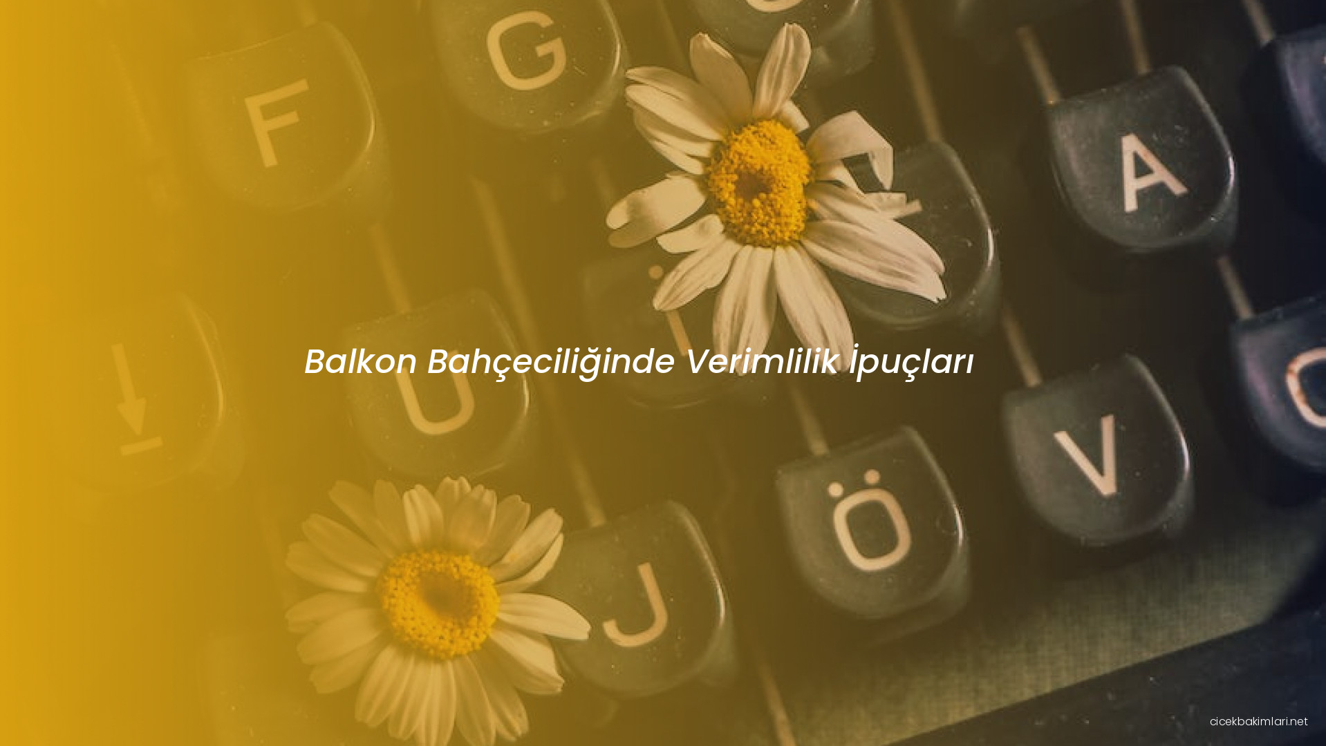 Balkon Bahçeciliğinde Verimlilik İpuçları