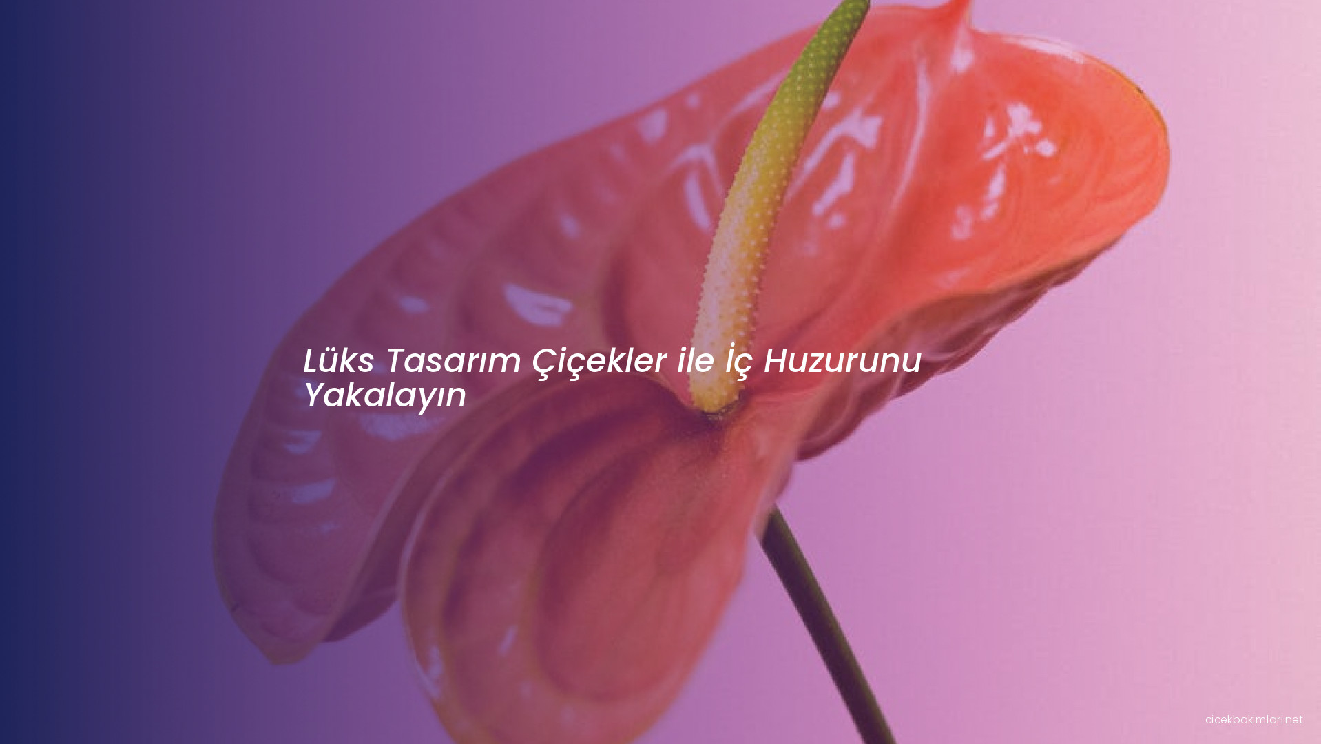 Lüks Tasarım Çiçekler ile İç Huzurunu Yakalayın