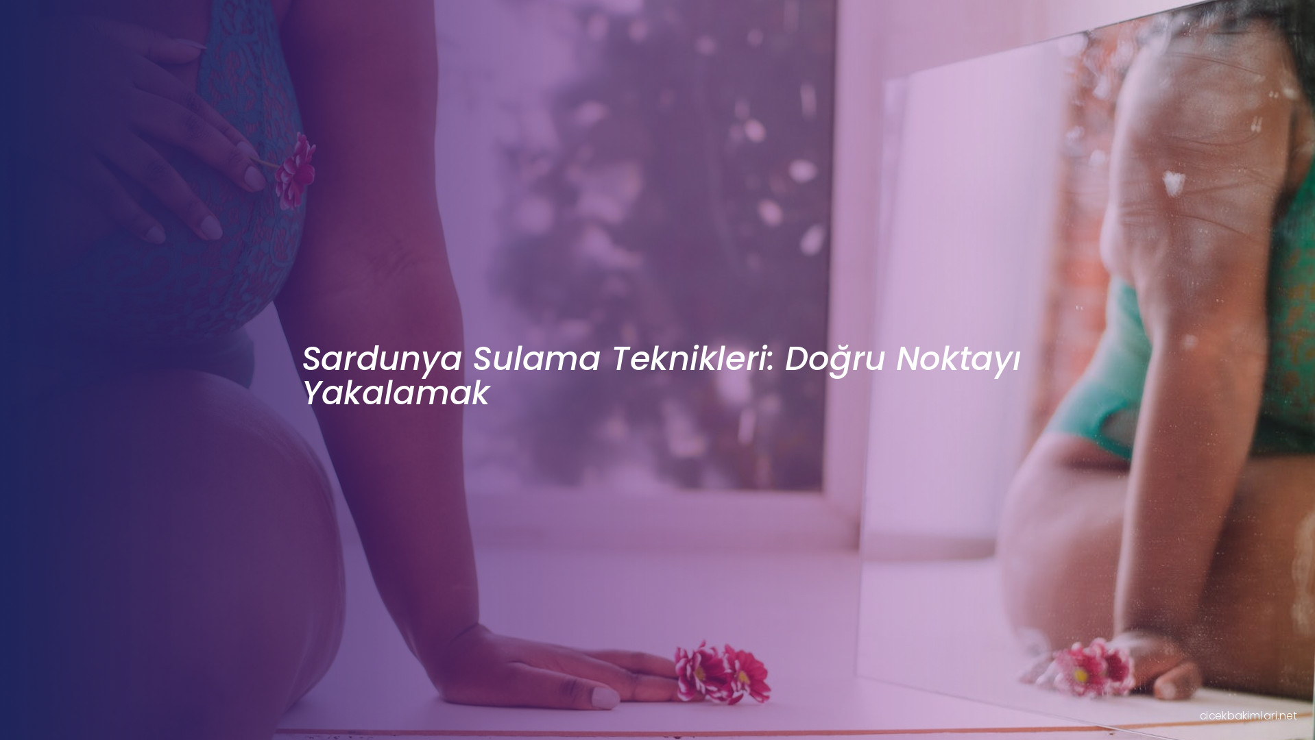 Sardunya Sulama Teknikleri: Doğru Noktayı Yakalamak