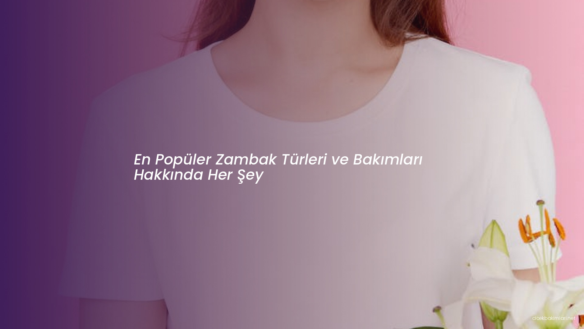 En Popüler Zambak Türleri ve Bakımları Hakkında Her Şey