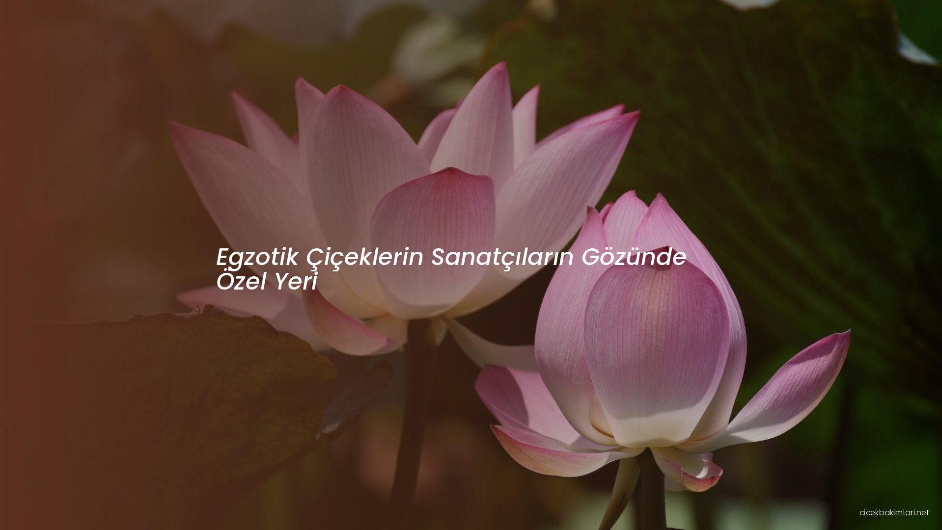 Egzotik Çiçeklerin Sanatçıların Gözünde Özel Yeri