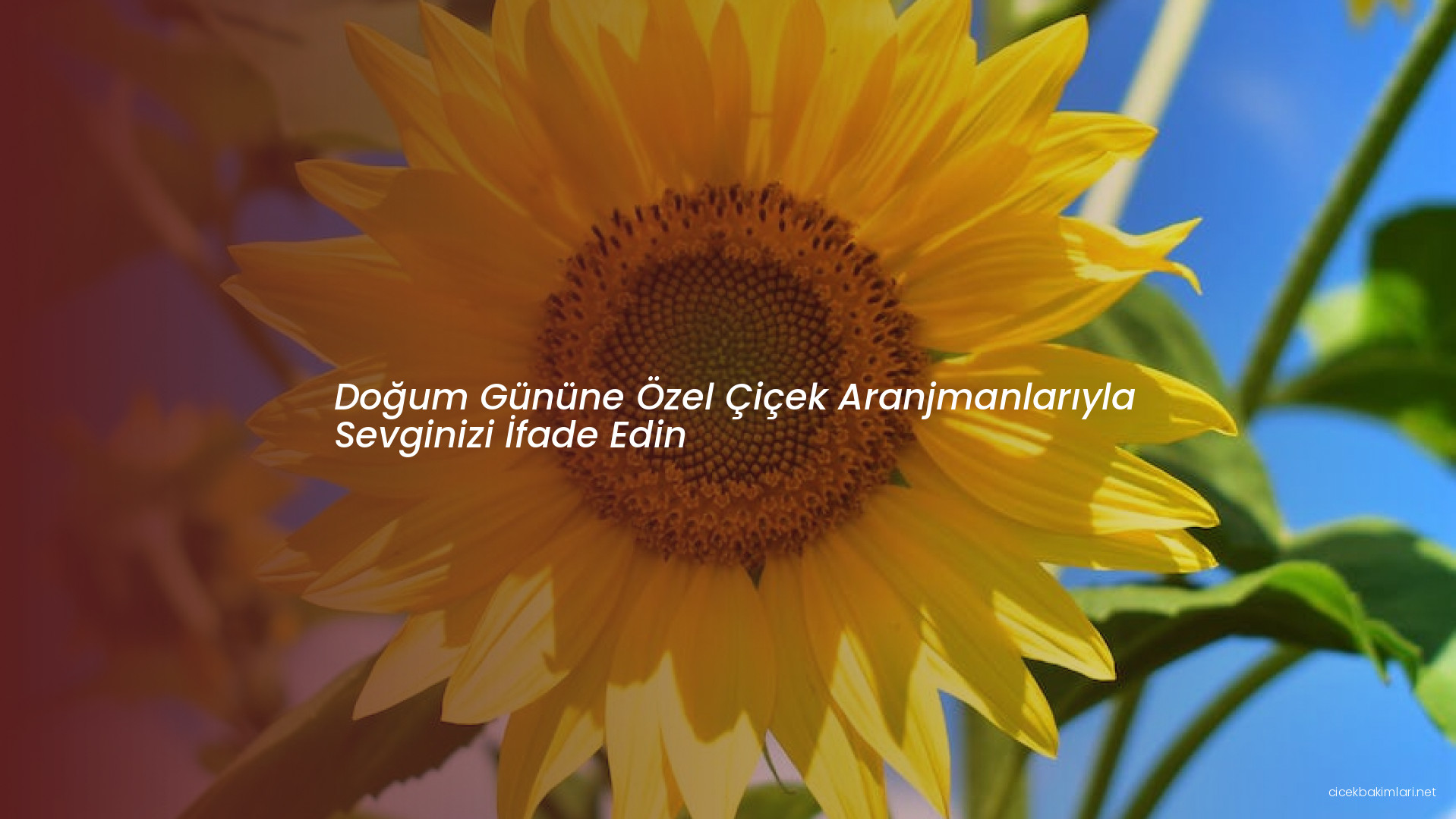 Doğum Gününe Özel Çiçek Aranjmanlarıyla Sevginizi İfade Edin