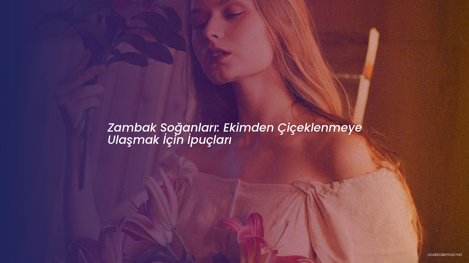 Zambak Soğanları: Ekimden Çiçeklenmeye Ulaşmak İçin İpuçları