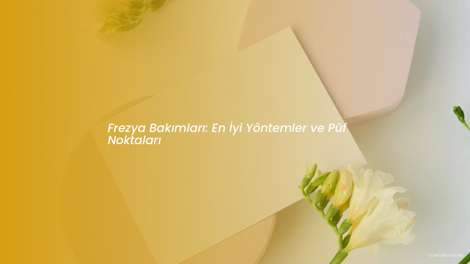 Frezya Bakımları: En İyi Yöntemler ve Püf Noktaları