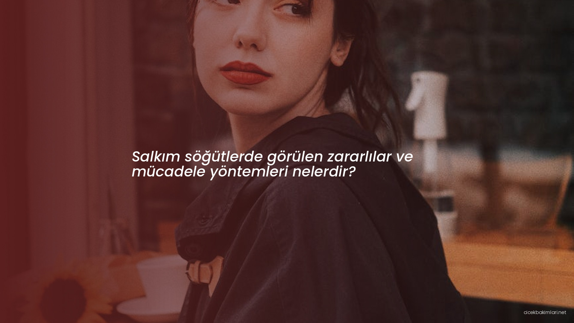 Salkım söğütlerde görülen zararlılar ve mücadele yöntemleri nelerdir?