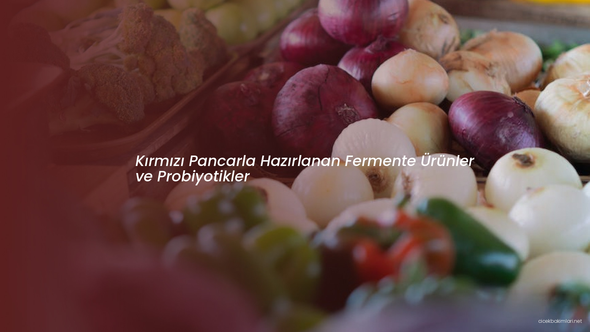 Kırmızı Pancarla Hazırlanan Fermente Ürünler ve Probiyotikler