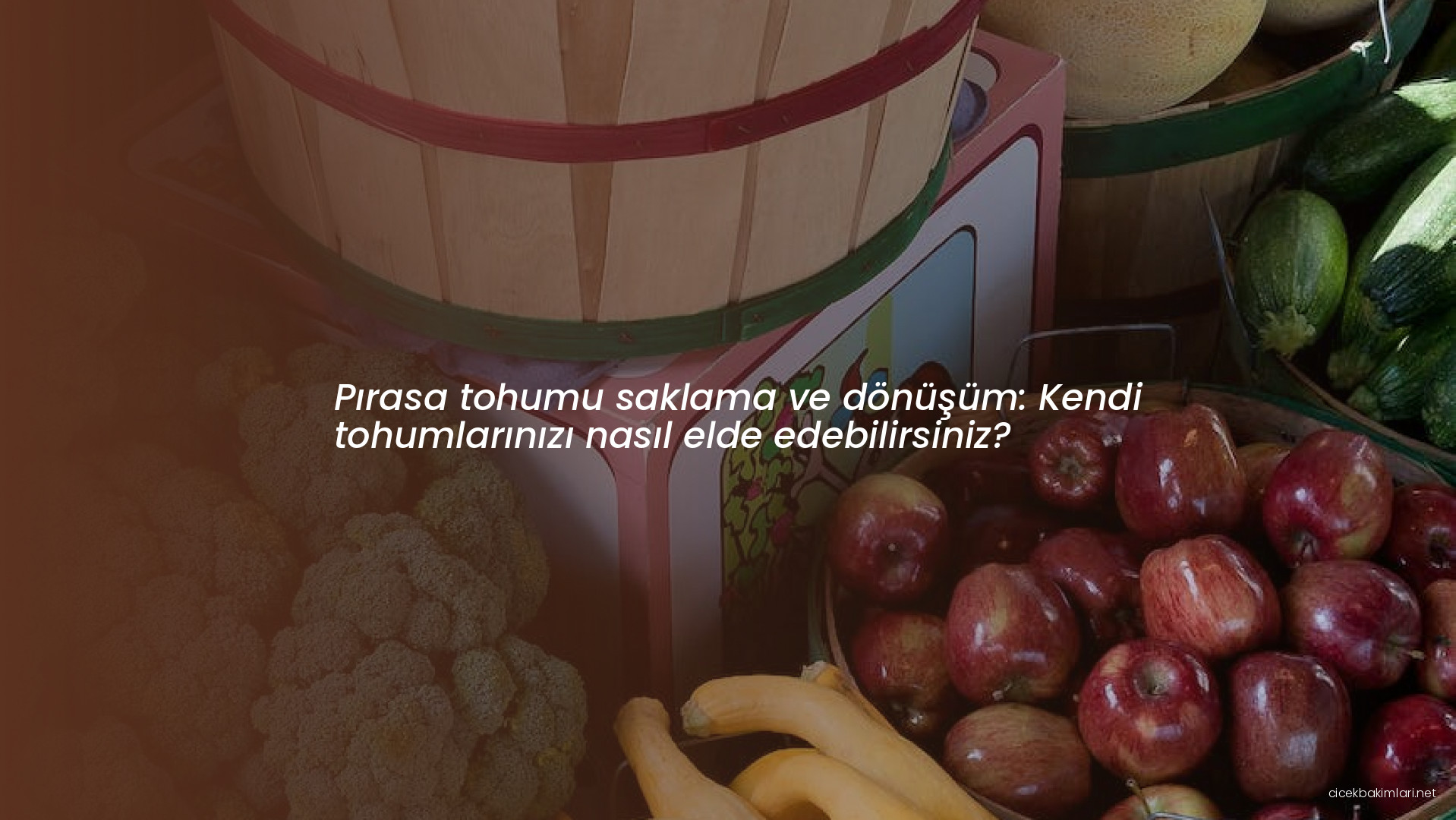 Pırasa tohumu saklama ve dönüşüm: Kendi tohumlarınızı nasıl elde edebilirsiniz?