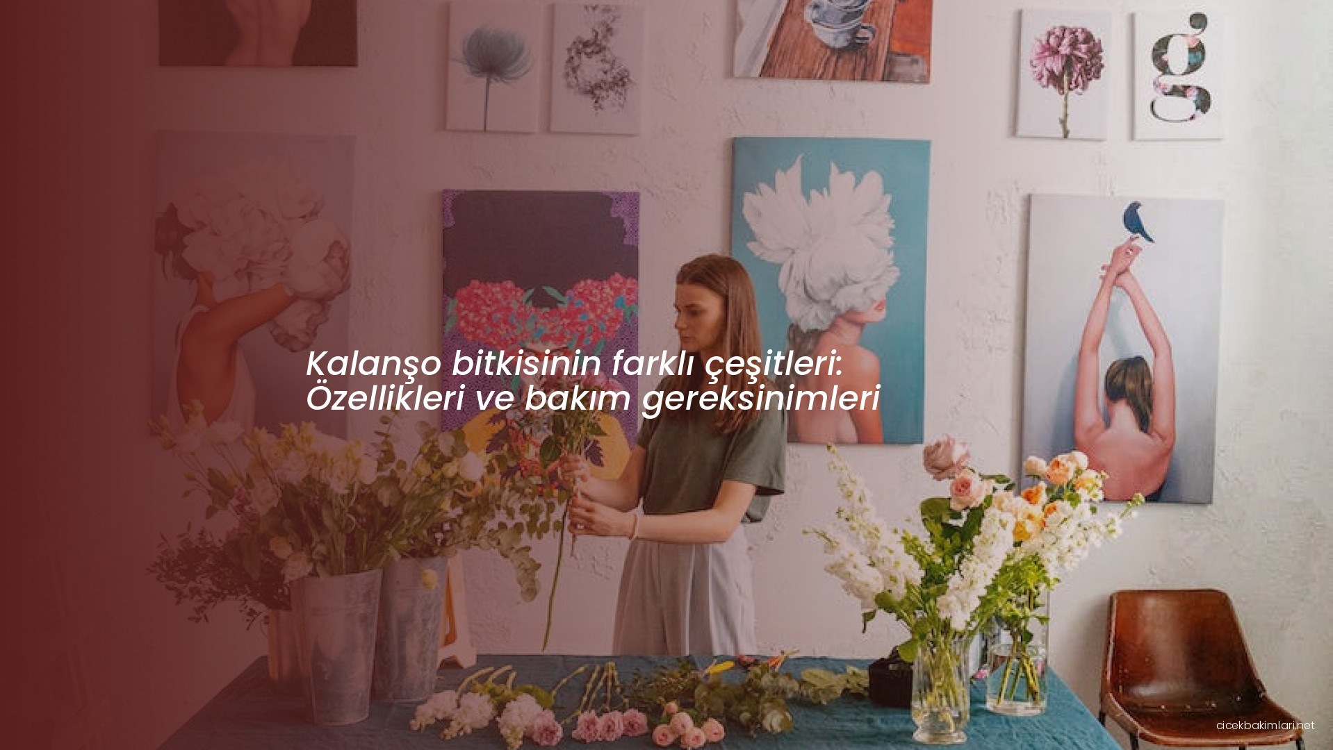 Kalanşo bitkisinin farklı çeşitleri: Özellikleri ve bakım gereksinimleri