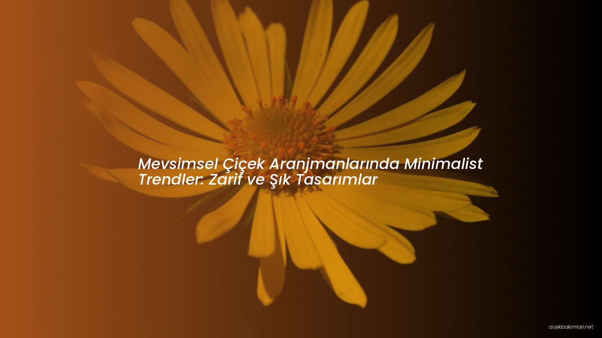 Mevsimsel Çiçek Aranjmanlarında Minimalist Trendler: Zarif ve Şık Tasarımlar