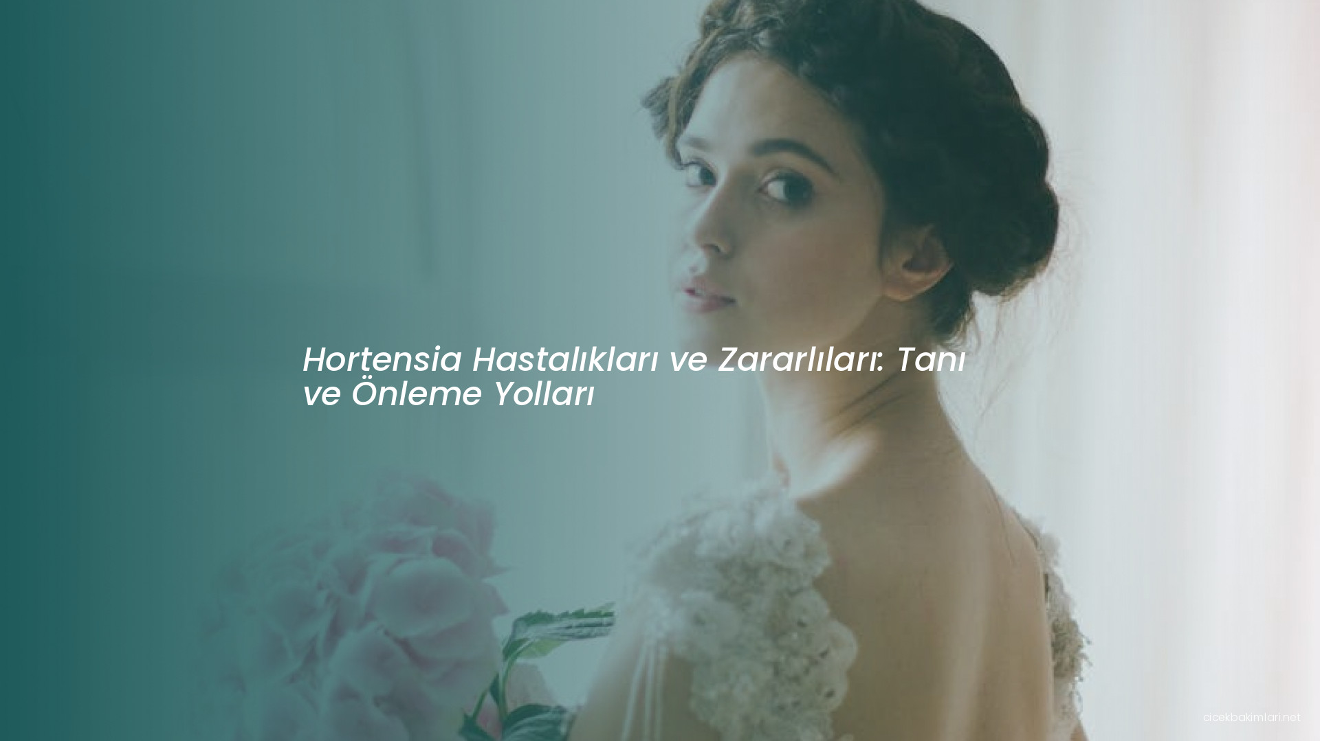 Hortensia Hastalıkları ve Zararlıları: Tanı ve Önleme Yolları