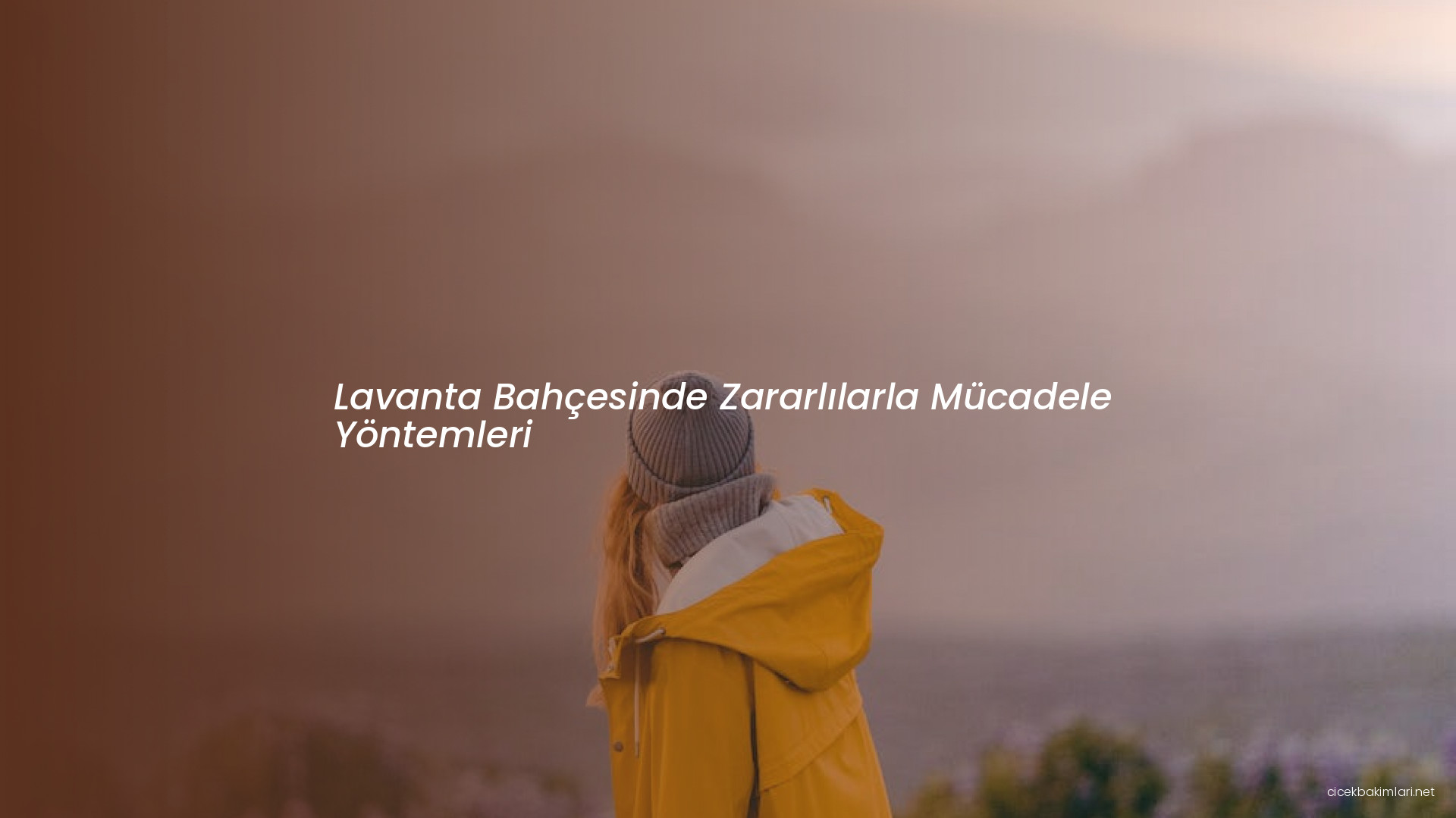 Lavanta Bahçesinde Zararlılarla Mücadele Yöntemleri