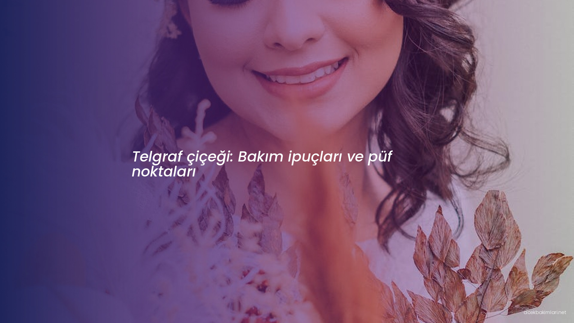 Telgraf çiçeği: Bakım ipuçları ve püf noktaları