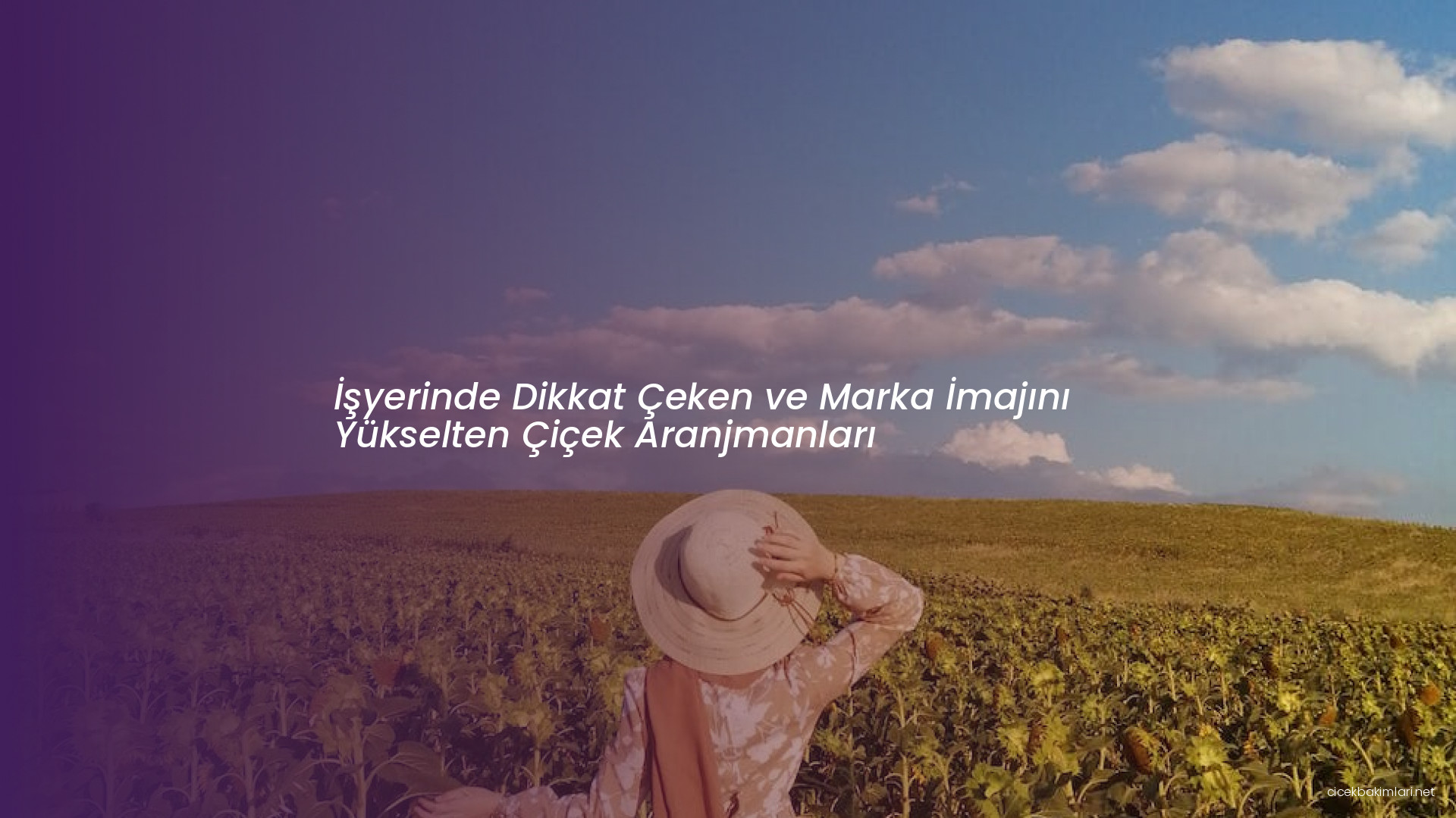 İşyerinde Dikkat Çeken ve Marka İmajını Yükselten Çiçek Aranjmanları