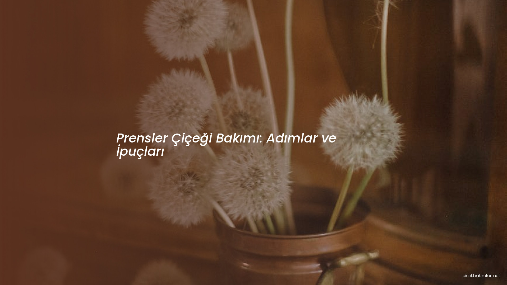 Prensler Çiçeği Bakımı: Adımlar ve İpuçları