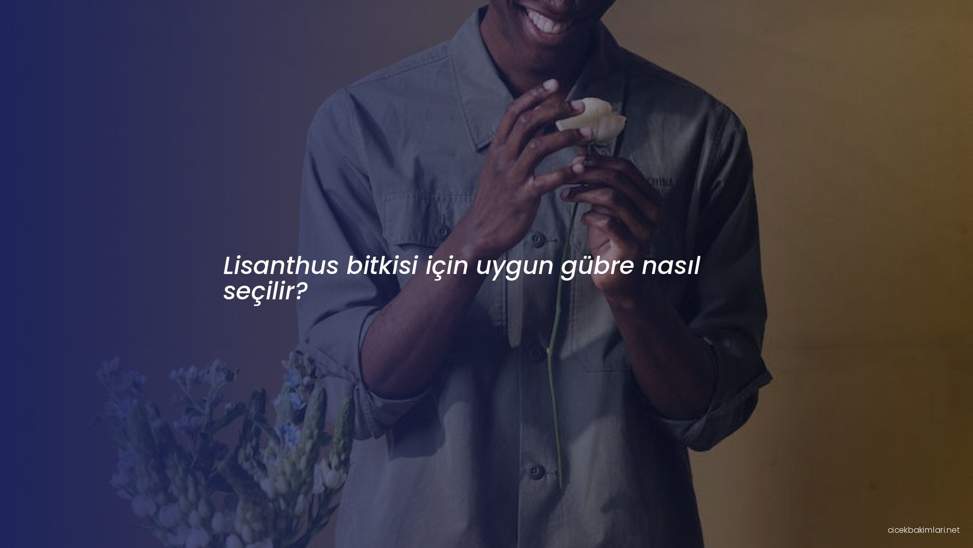 Lisanthus bitkisi için uygun gübre nasıl seçilir?