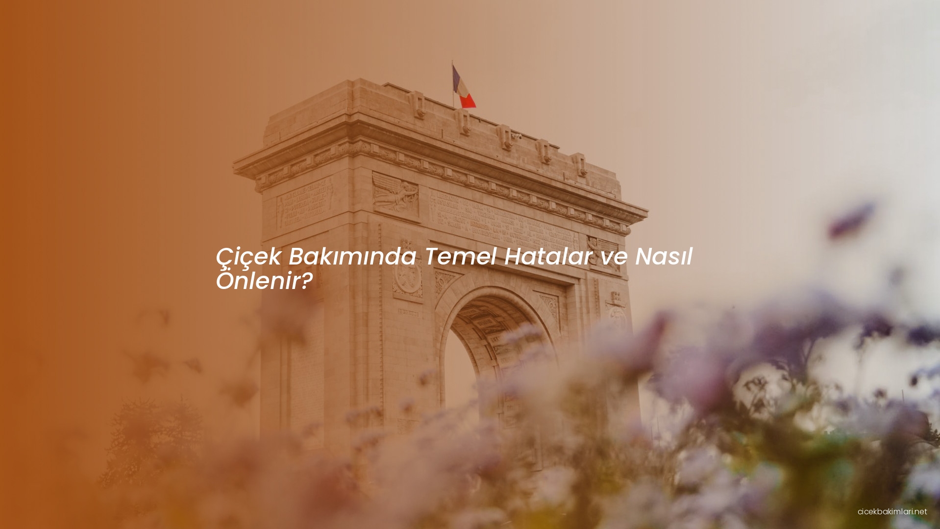 Çiçek Bakımında Temel Hatalar ve Nasıl Önlenir?
