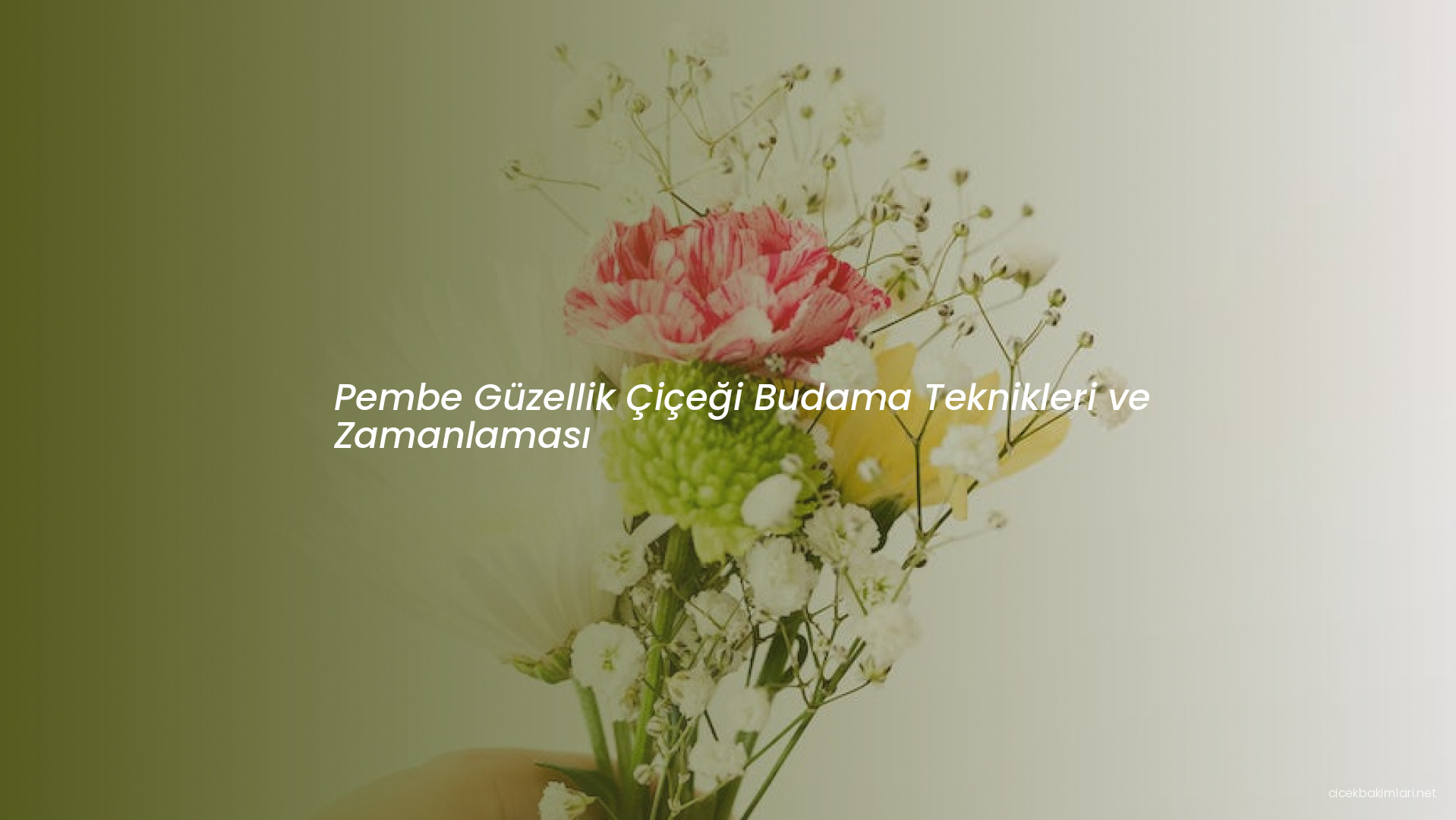 Pembe Güzellik Çiçeği Budama Teknikleri ve Zamanlaması