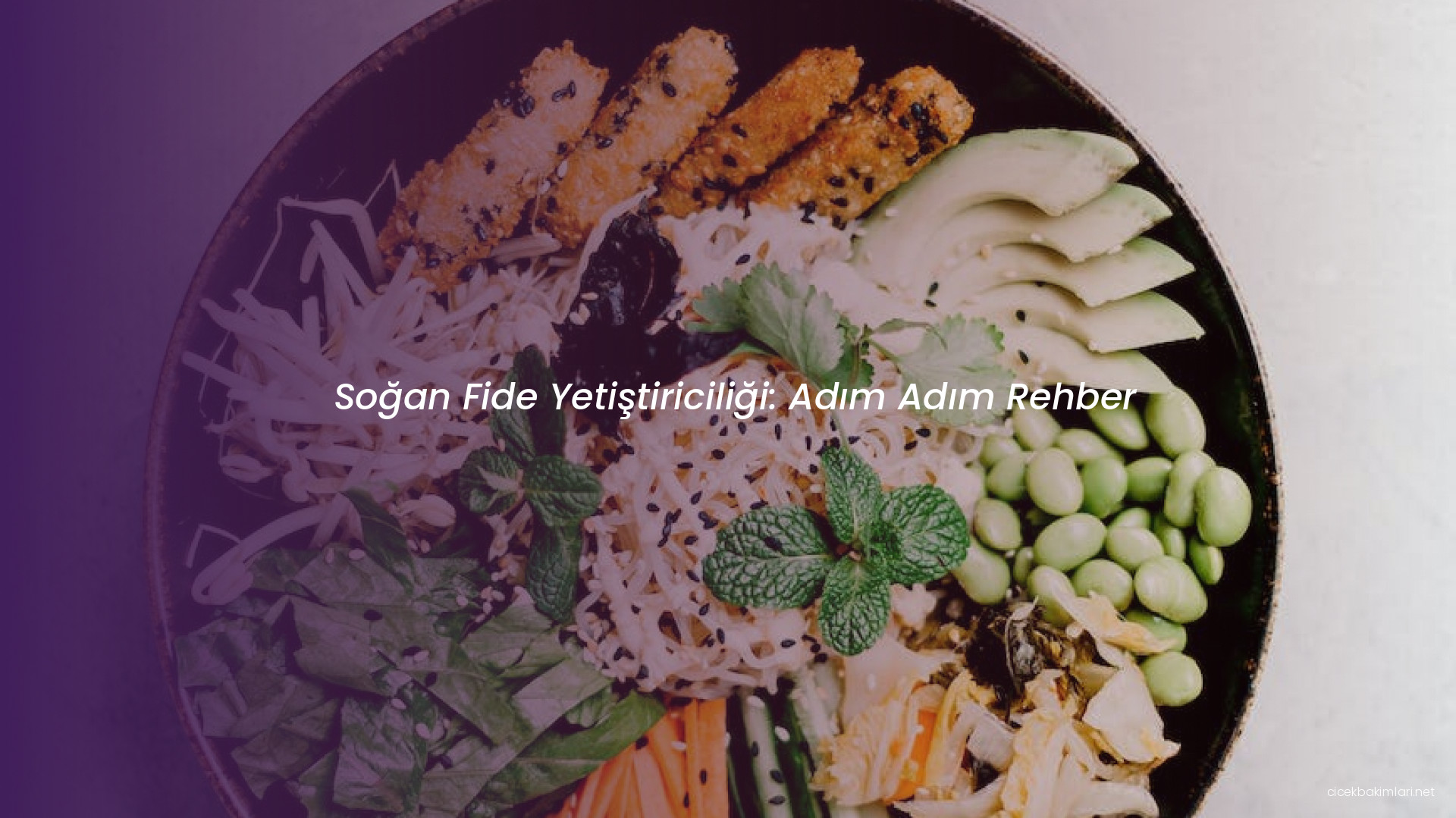 Soğan Fide Yetiştiriciliği: Adım Adım Rehber