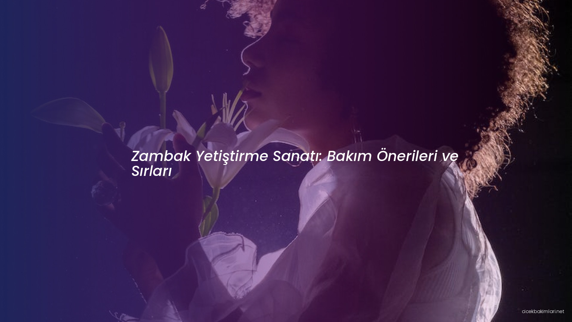 Zambak Yetiştirme Sanatı: Bakım Önerileri ve Sırları