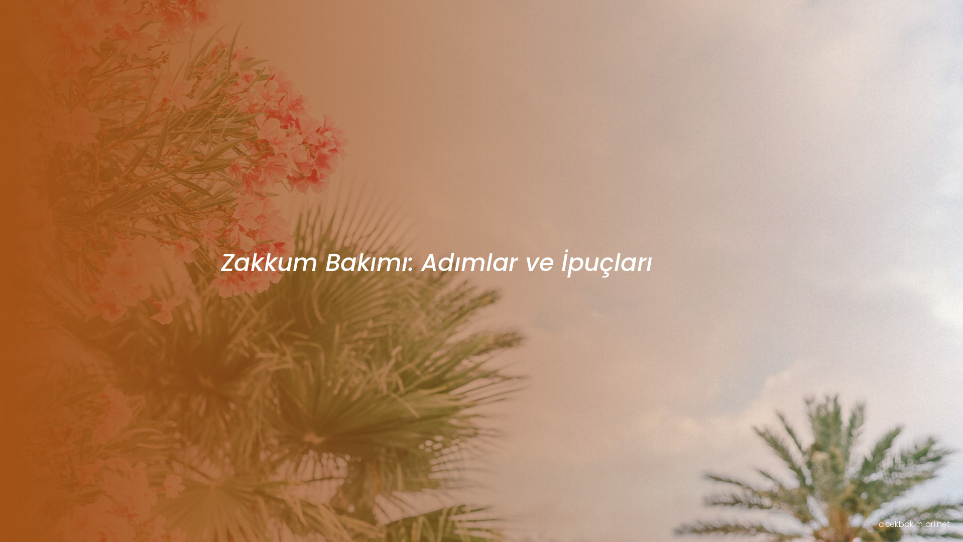 Zakkum Bakımı: Adımlar ve İpuçları