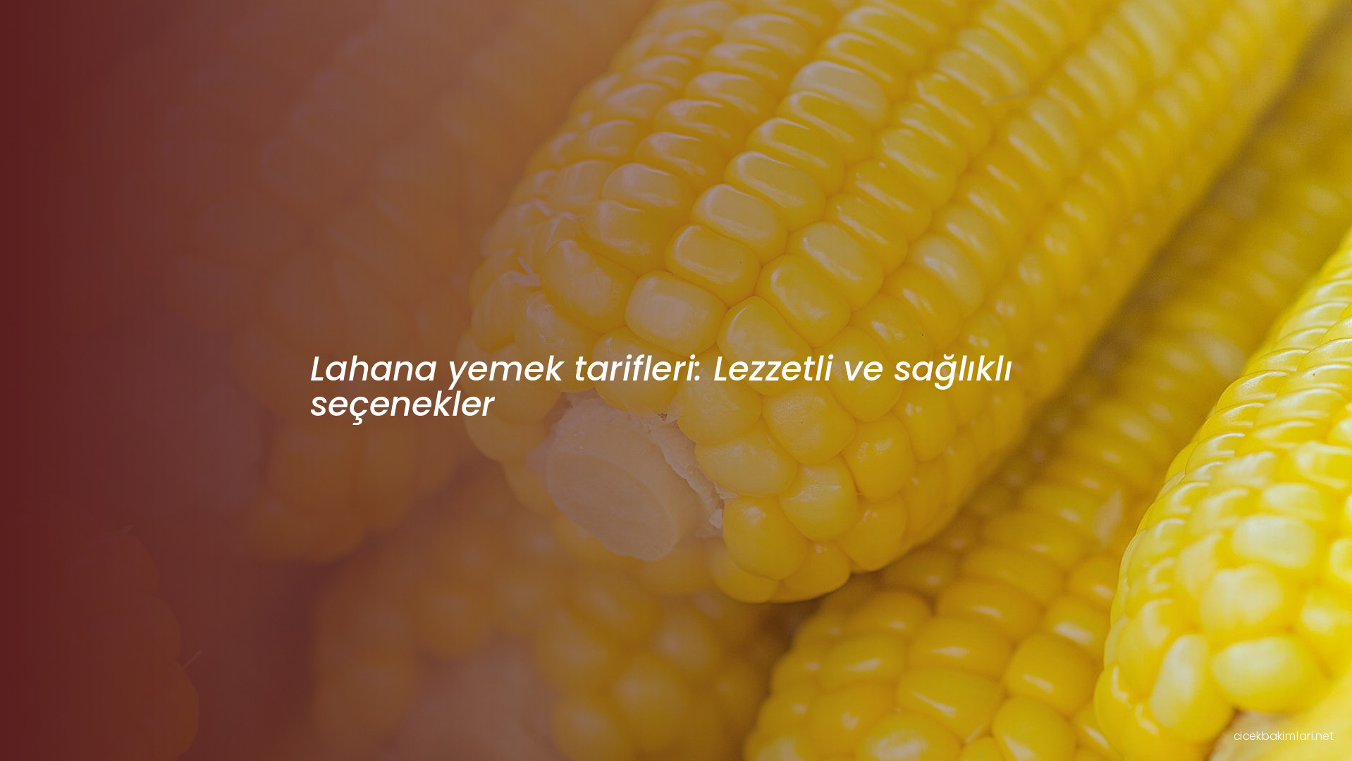 Lahana yemek tarifleri: Lezzetli ve sağlıklı seçenekler