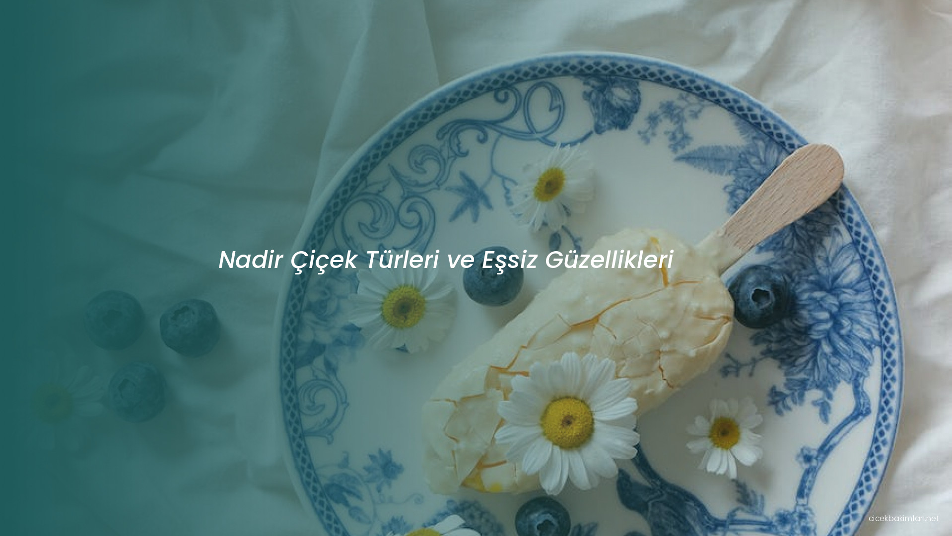 Nadir Çiçek Türleri ve Eşsiz Güzellikleri