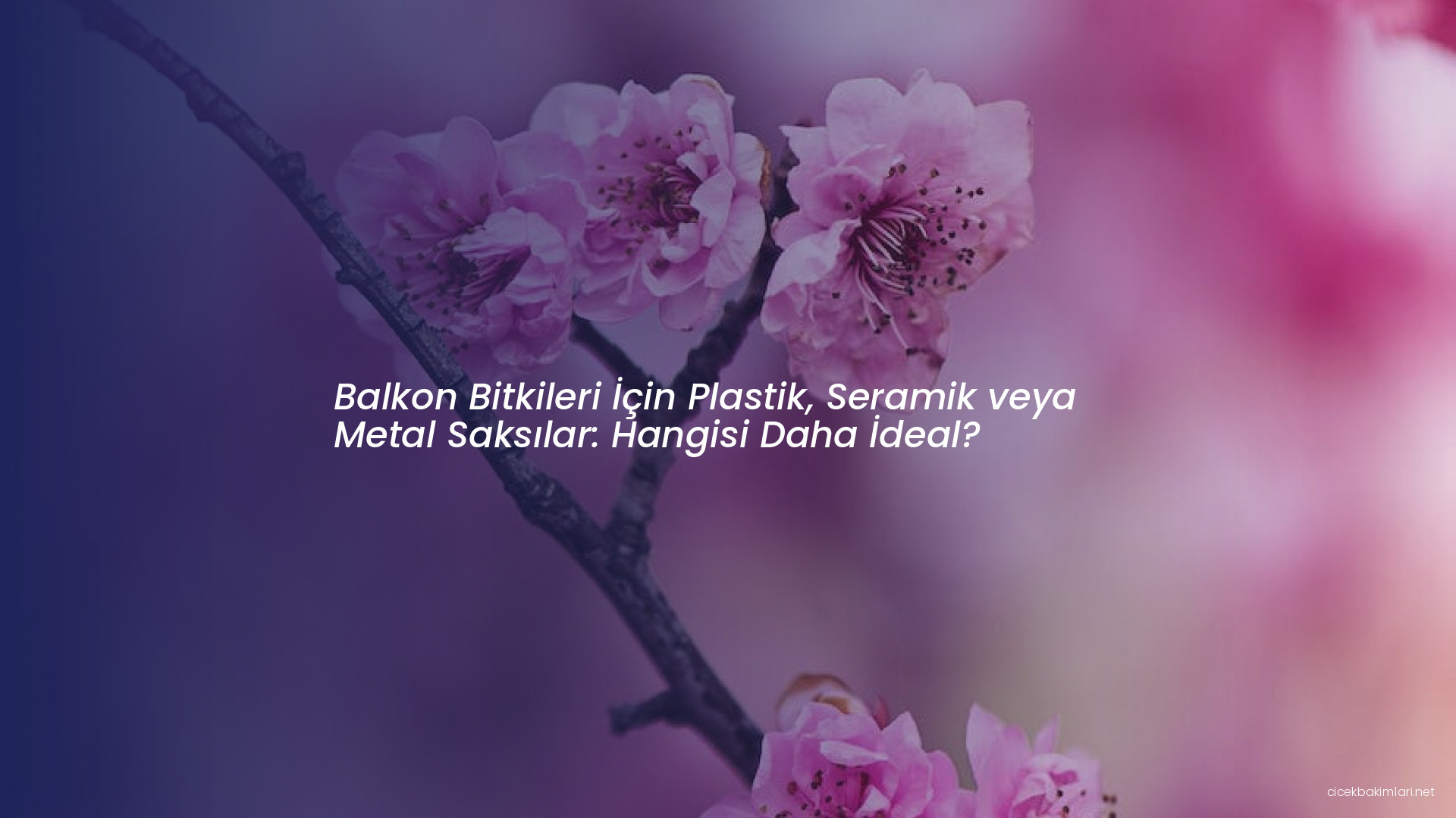 Balkon Bitkileri İçin Plastik, Seramik veya Metal Saksılar: Hangisi Daha İdeal?