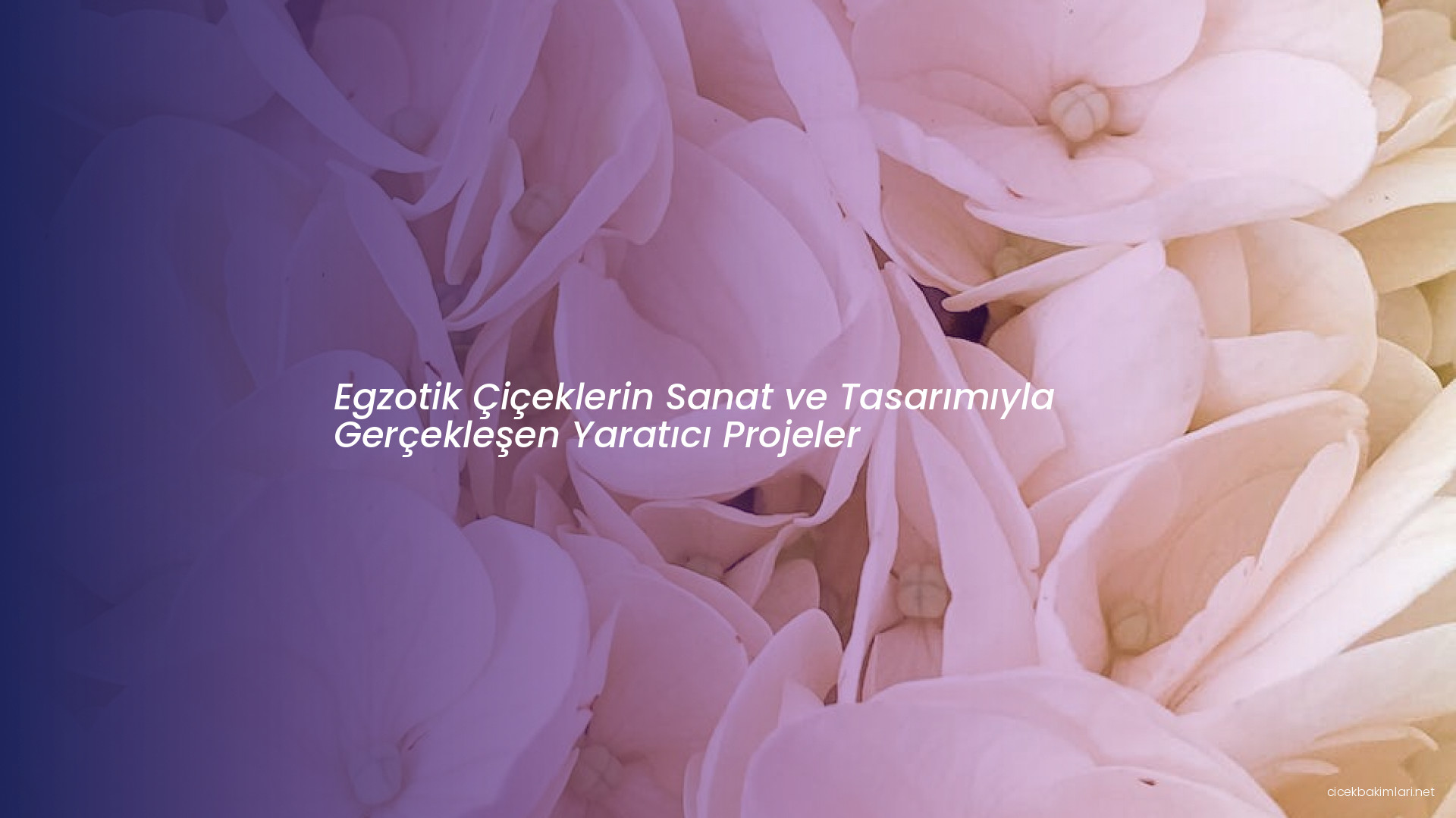 Egzotik Çiçeklerin Sanat ve Tasarımıyla Gerçekleşen Yaratıcı Projeler
