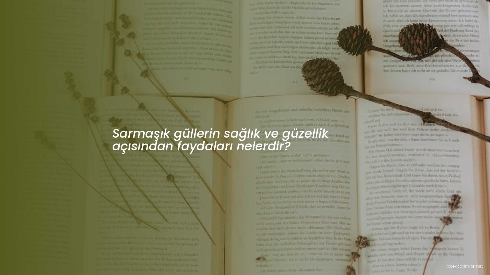 Sarmaşık güllerin sağlık ve güzellik açısından faydaları nelerdir?