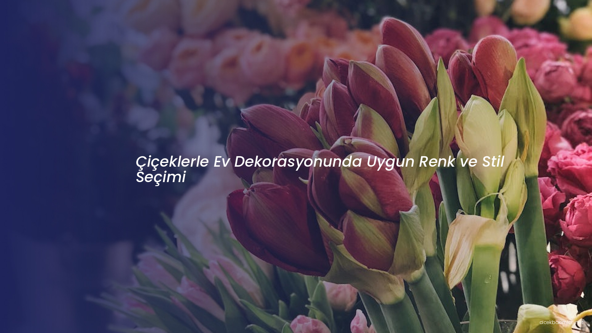Çiçeklerle Ev Dekorasyonunda Uygun Renk ve Stil Seçimi