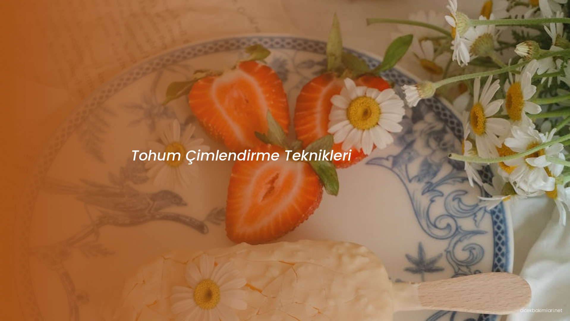 Tohum Çimlendirme Teknikleri