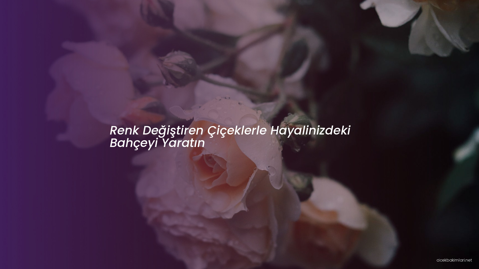 Renk Değiştiren Çiçeklerle Hayalinizdeki Bahçeyi Yaratın