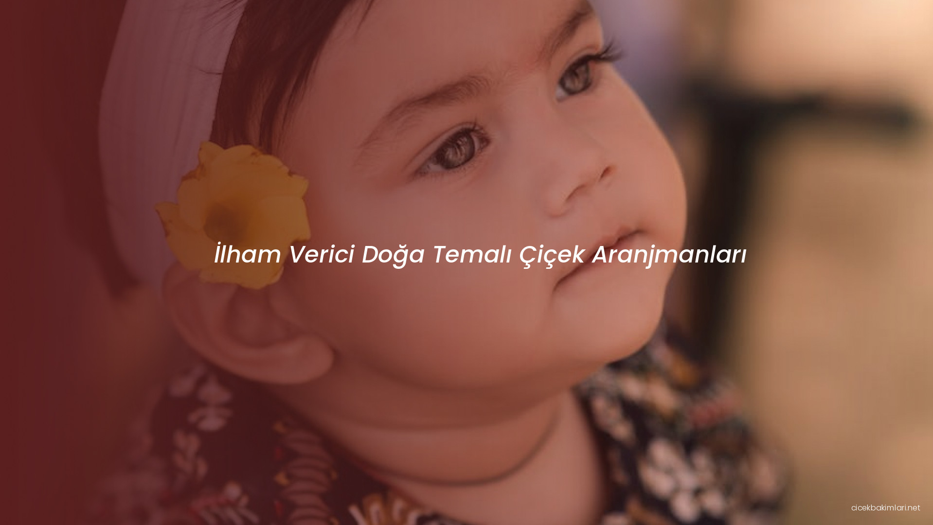 İlham Verici Doğa Temalı Çiçek Aranjmanları