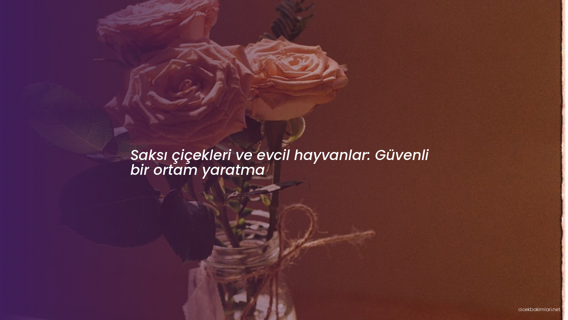 Saksı çiçekleri ve evcil hayvanlar: Güvenli bir ortam yaratma