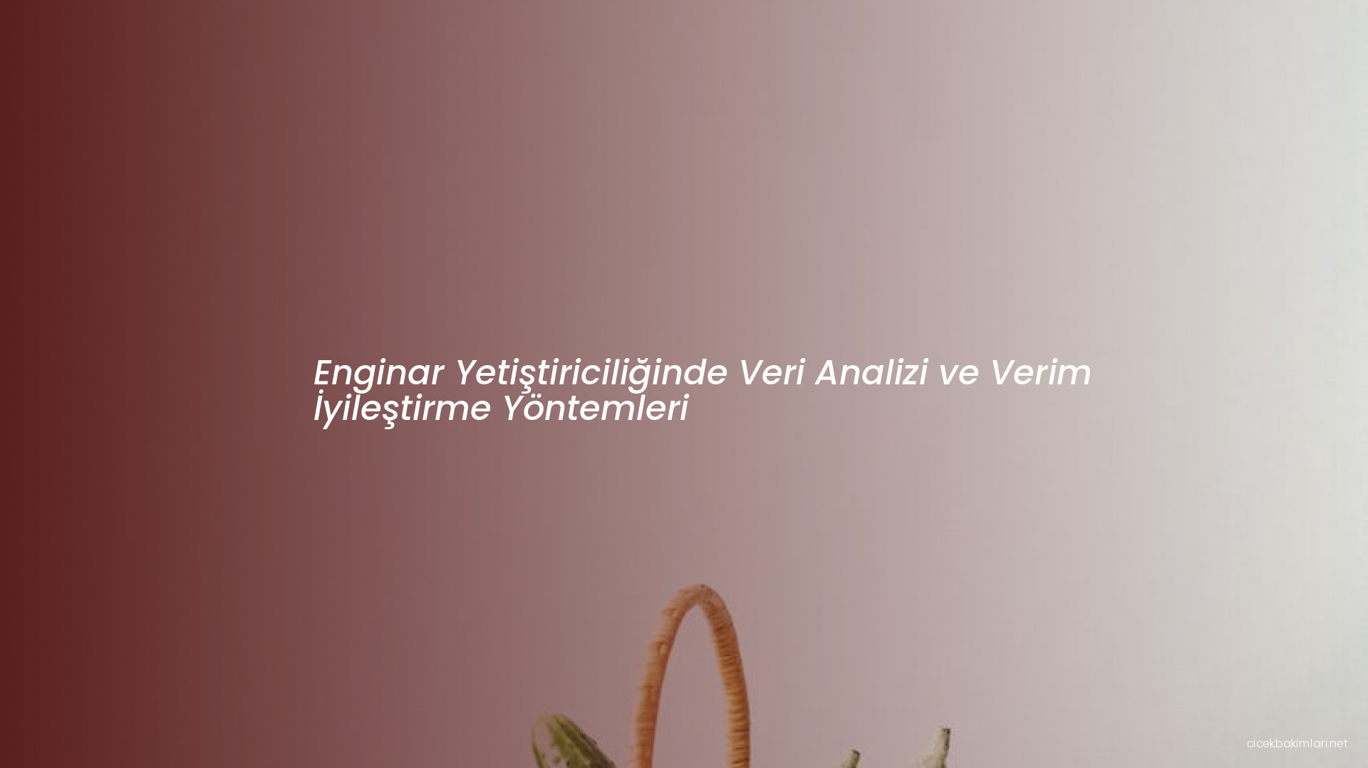 Enginar Yetiştiriciliğinde Veri Analizi ve Verim İyileştirme Yöntemleri