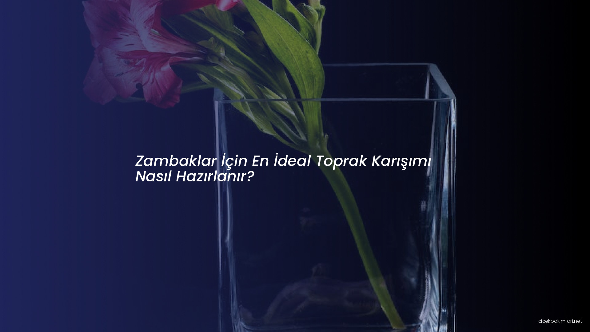 Zambaklar İçin En İdeal Toprak Karışımı Nasıl Hazırlanır?