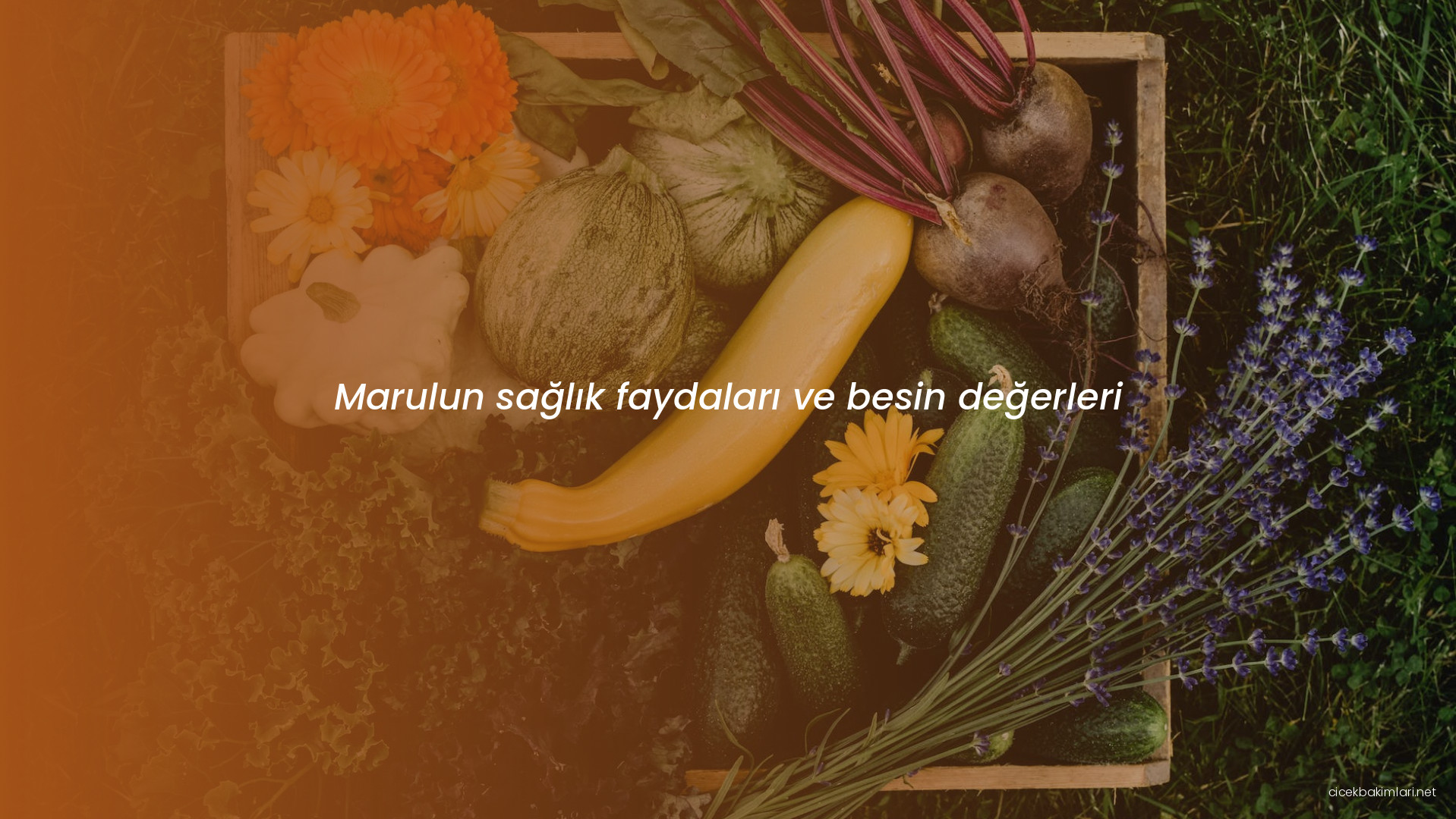 Marulun sağlık faydaları ve besin değerleri