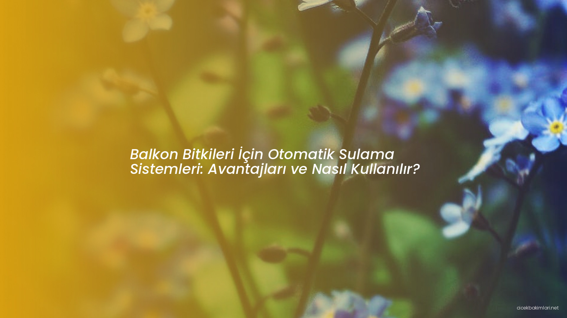Balkon Bitkileri İçin Otomatik Sulama Sistemleri: Avantajları ve Nasıl Kullanılır?