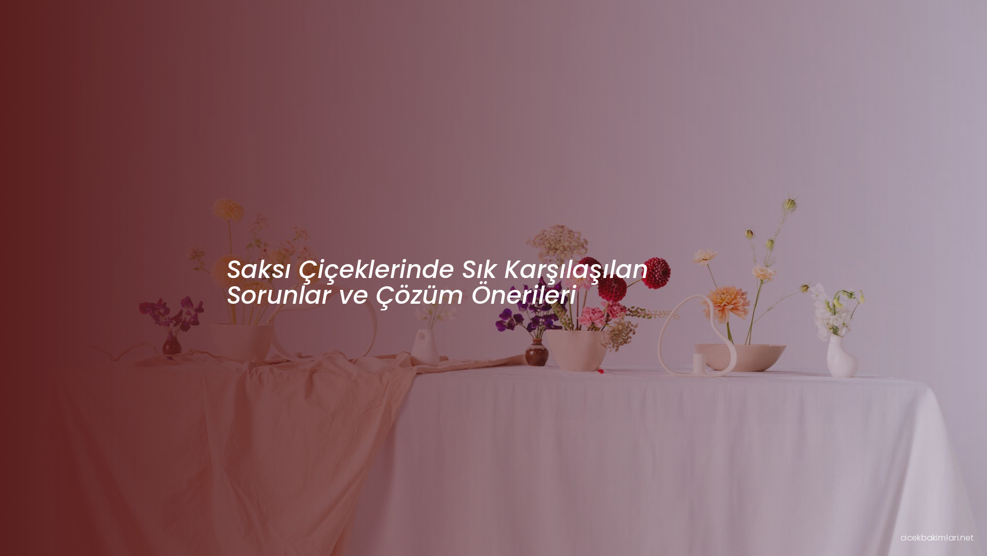 Saksı Çiçeklerinde Sık Karşılaşılan Sorunlar ve Çözüm Önerileri