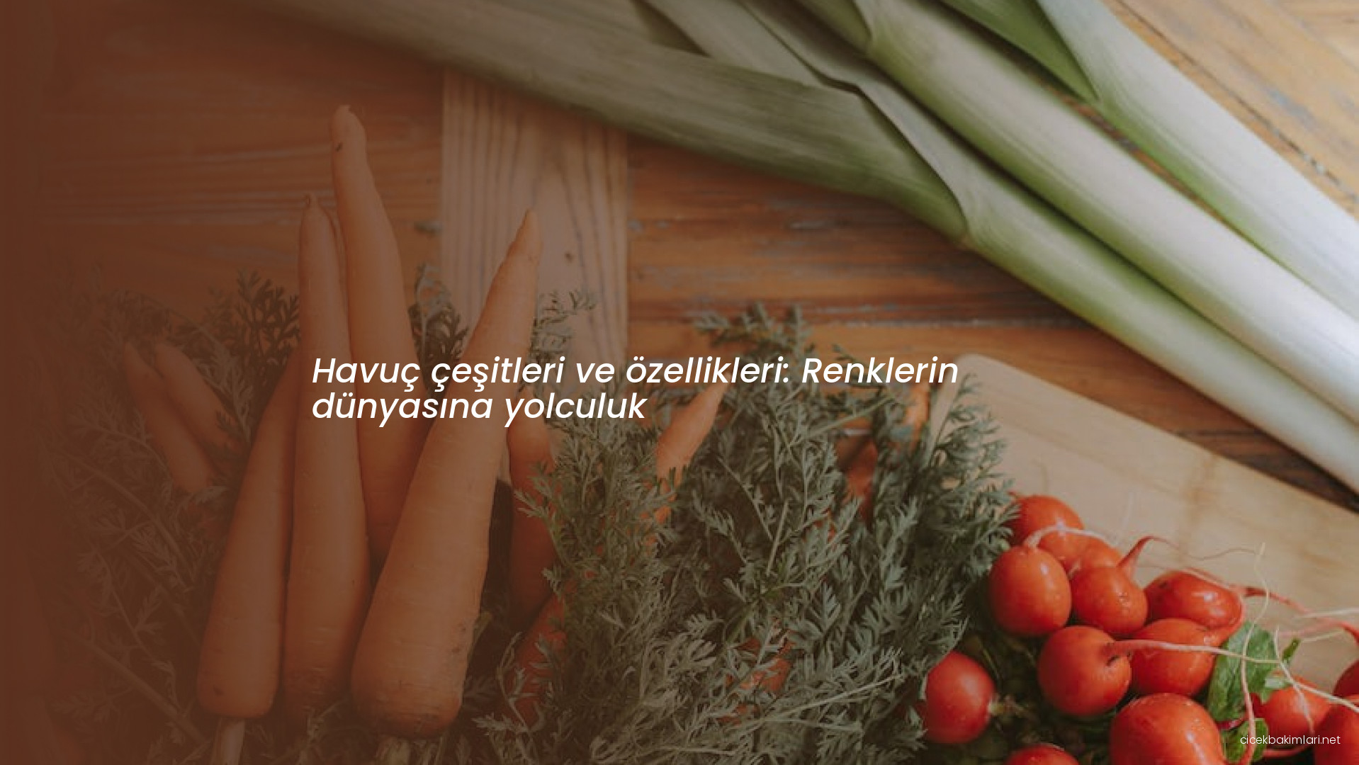 Havuç çeşitleri ve özellikleri: Renklerin dünyasına yolculuk