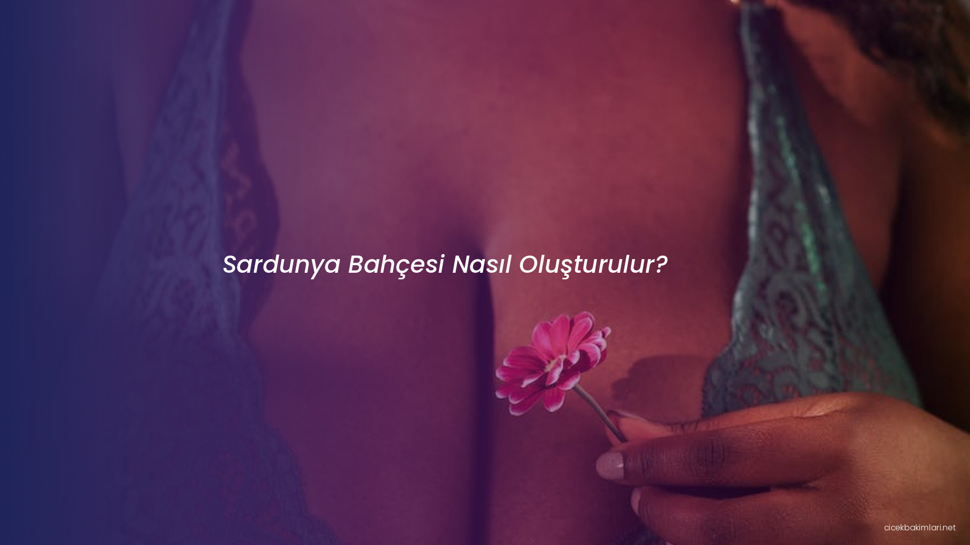 Sardunya Bahçesi Nasıl Oluşturulur?