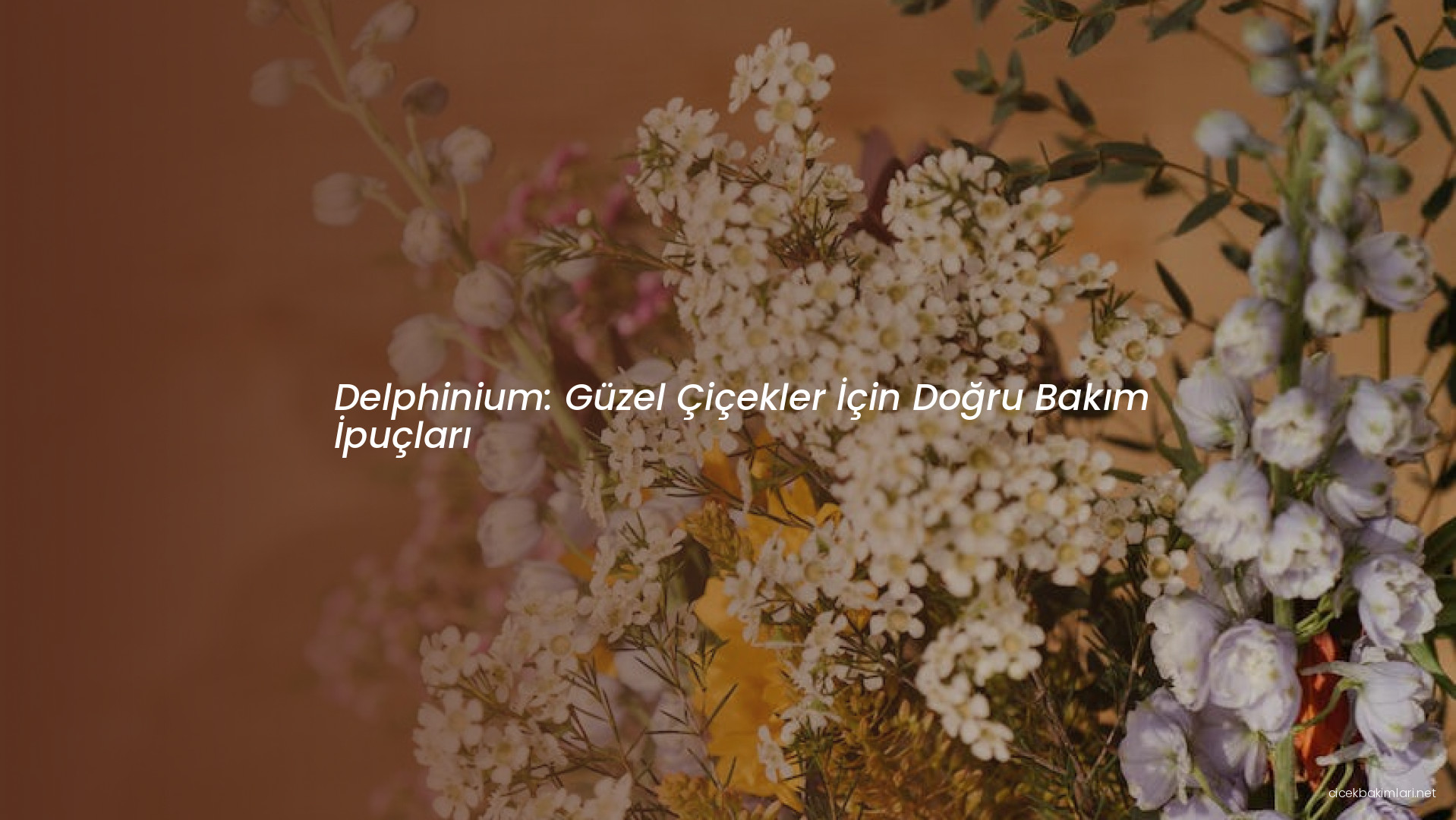 Delphinium: Güzel Çiçekler İçin Doğru Bakım İpuçları
