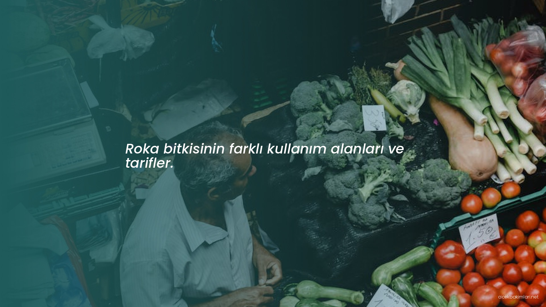 Roka bitkisinin farklı kullanım alanları ve tarifler.