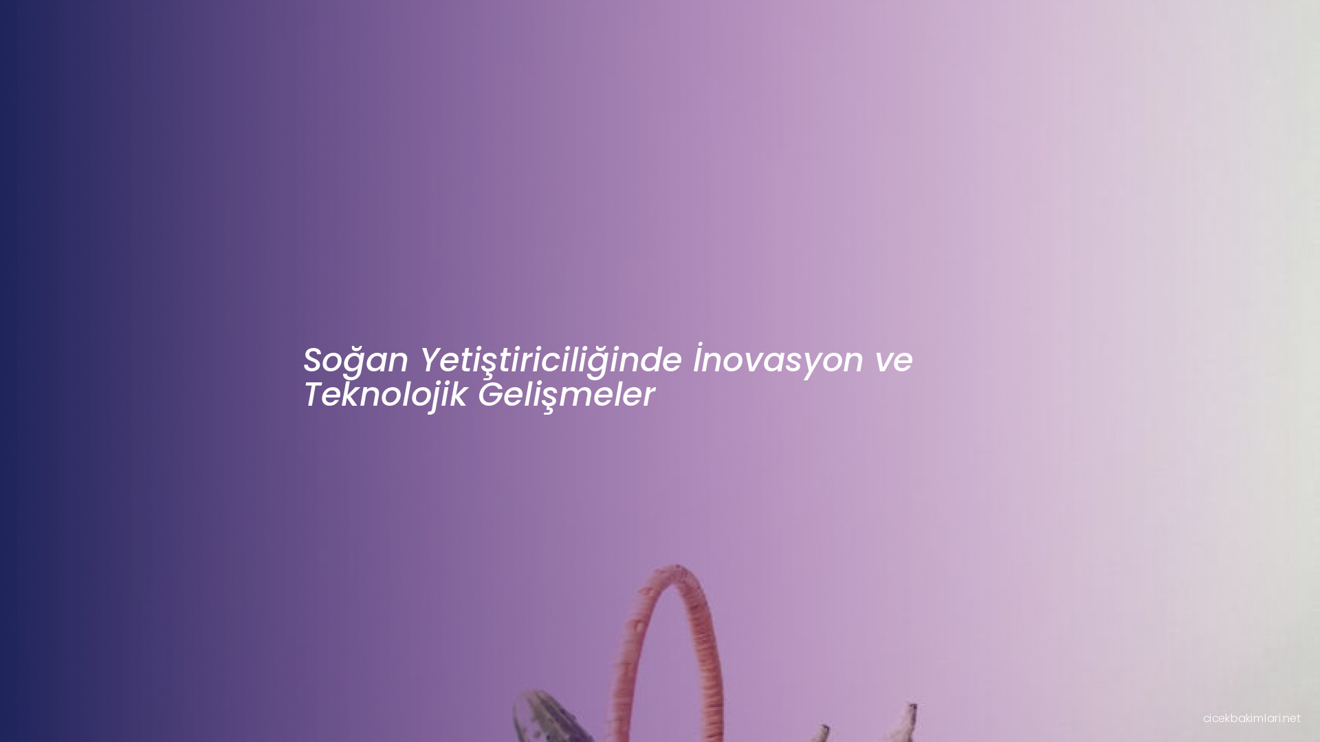 Soğan Yetiştiriciliğinde İnovasyon ve Teknolojik Gelişmeler
