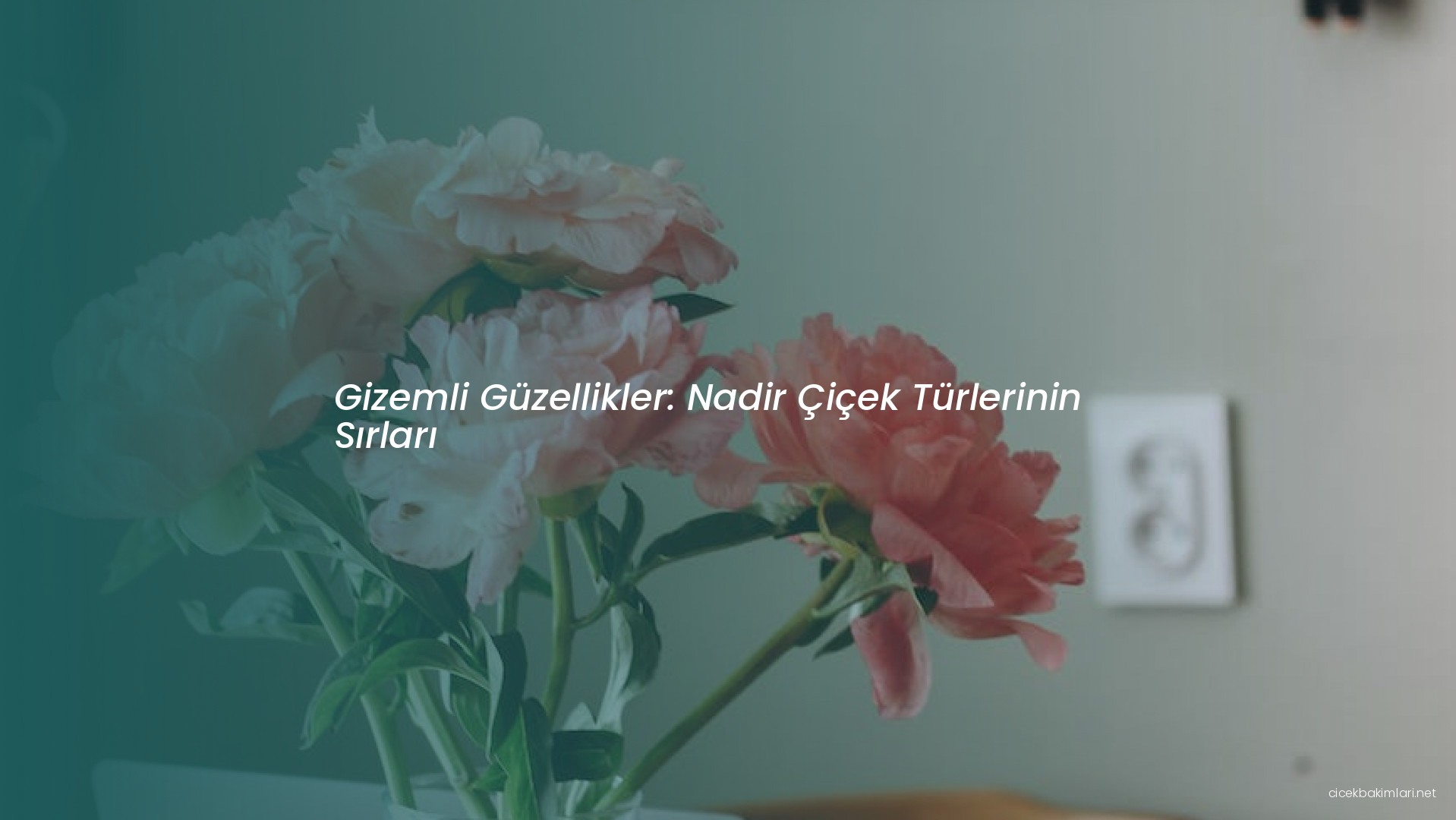 Gizemli Güzellikler: Nadir Çiçek Türlerinin Sırları