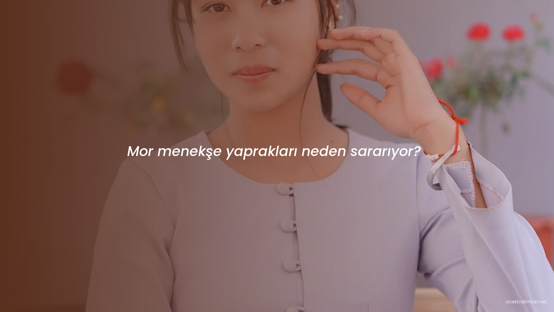 Mor menekşe yaprakları neden sararıyor?